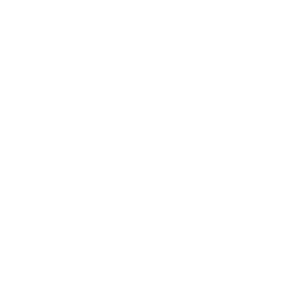 SaferWorld